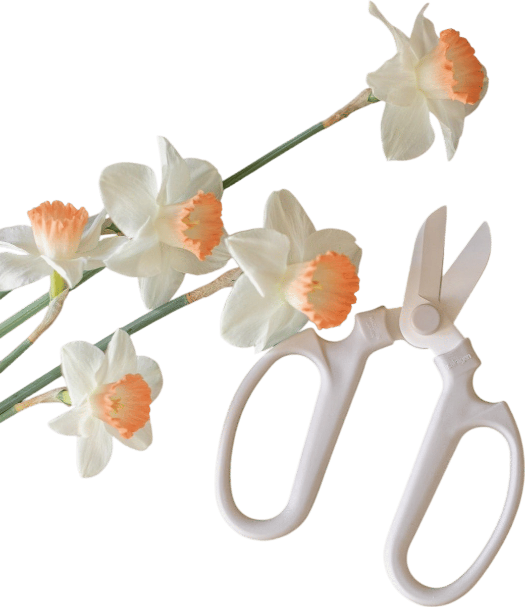 Japanese Floral Clippers