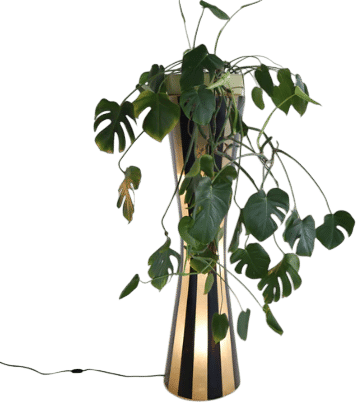 Members-Only Recommendation