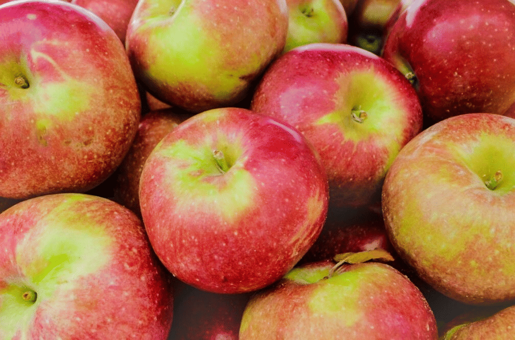 Macoun Apples