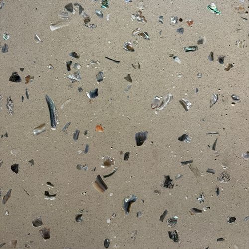 Rachael Dickson logo