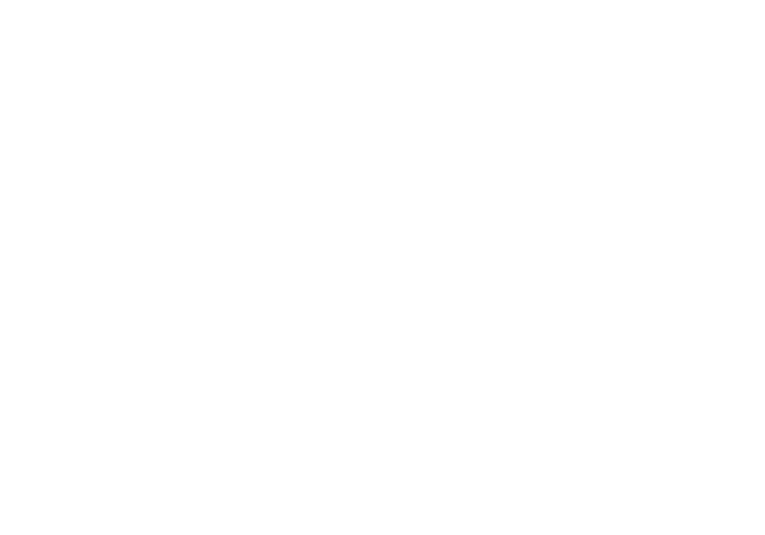 Sho Pizza Bar