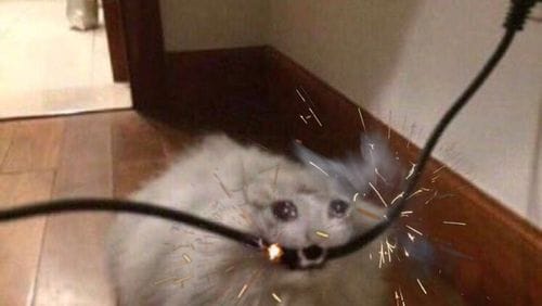 being gay but still having a crush on Hudson Williams