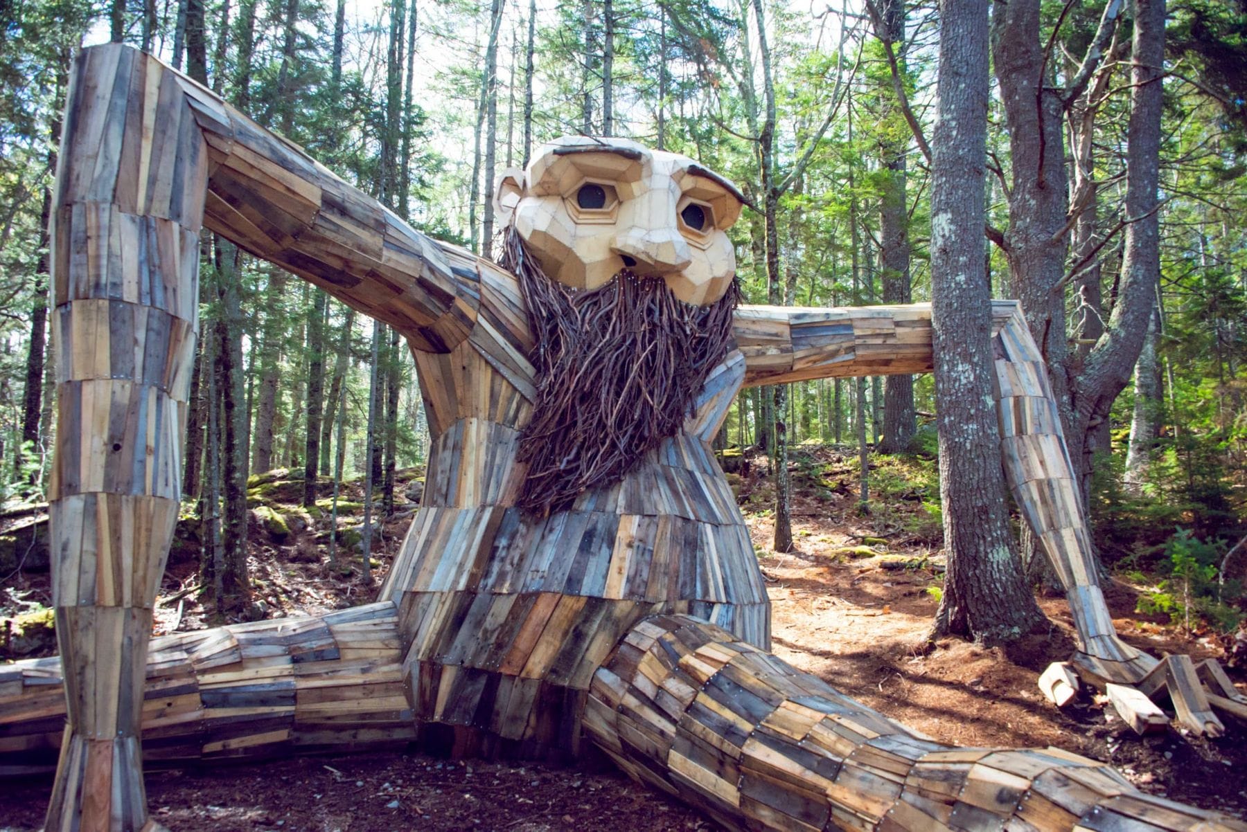 The Giant Trolls at Coastal Maine Botanical Gardens