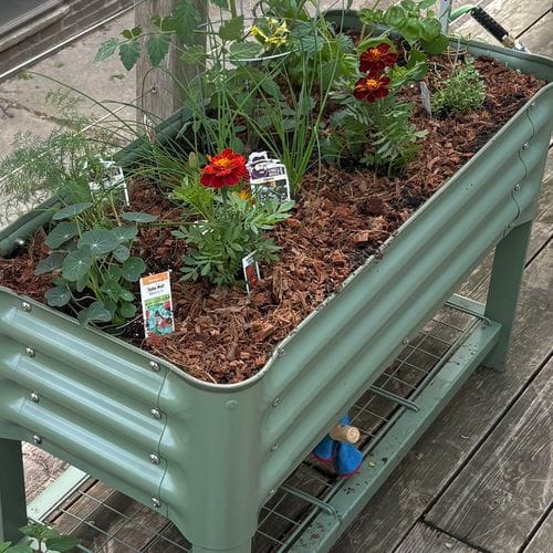 Porch Garden