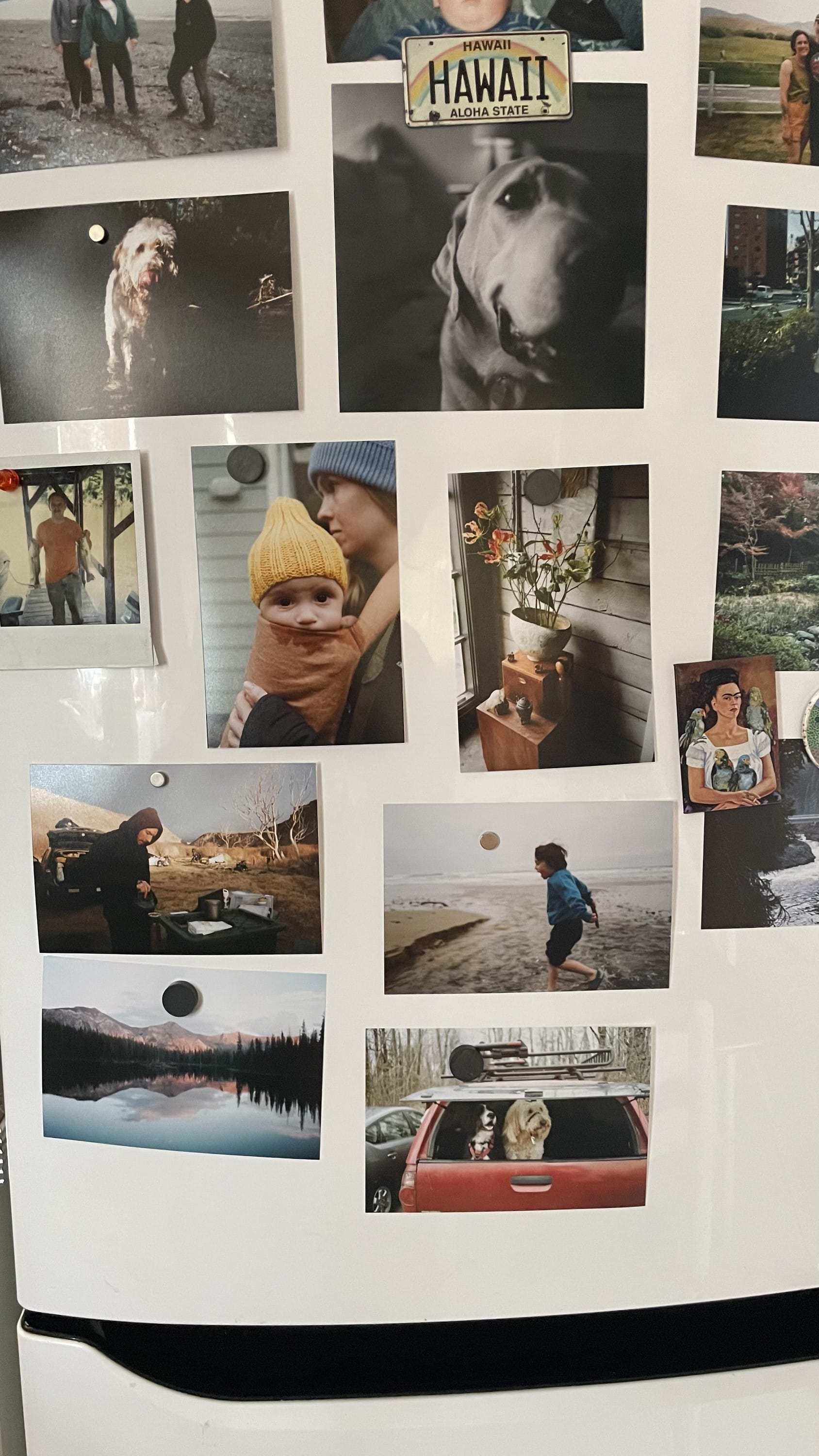 Printing photos and making a collage on your fridge