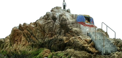 the dance of reality 2013