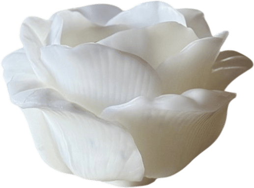 Rose Candle - Ivory
