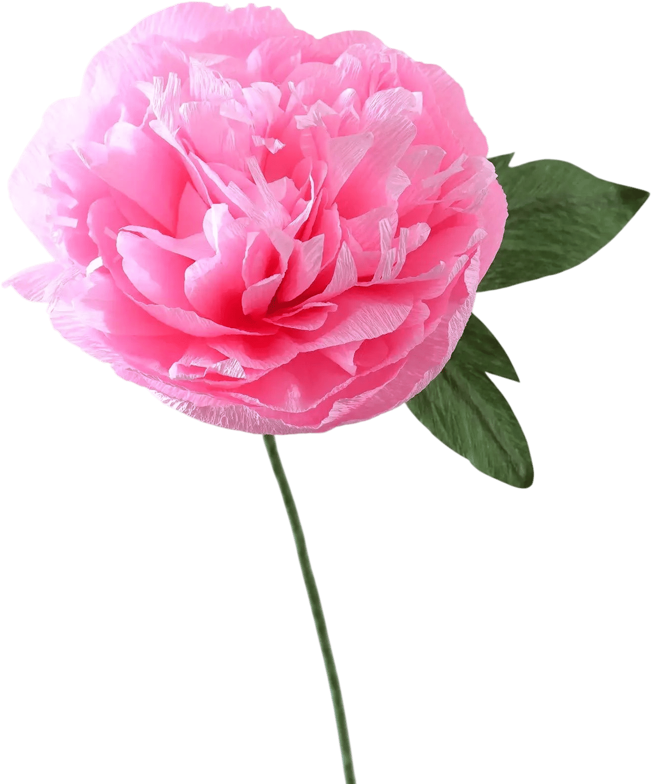 Handcrafted Paper Peony