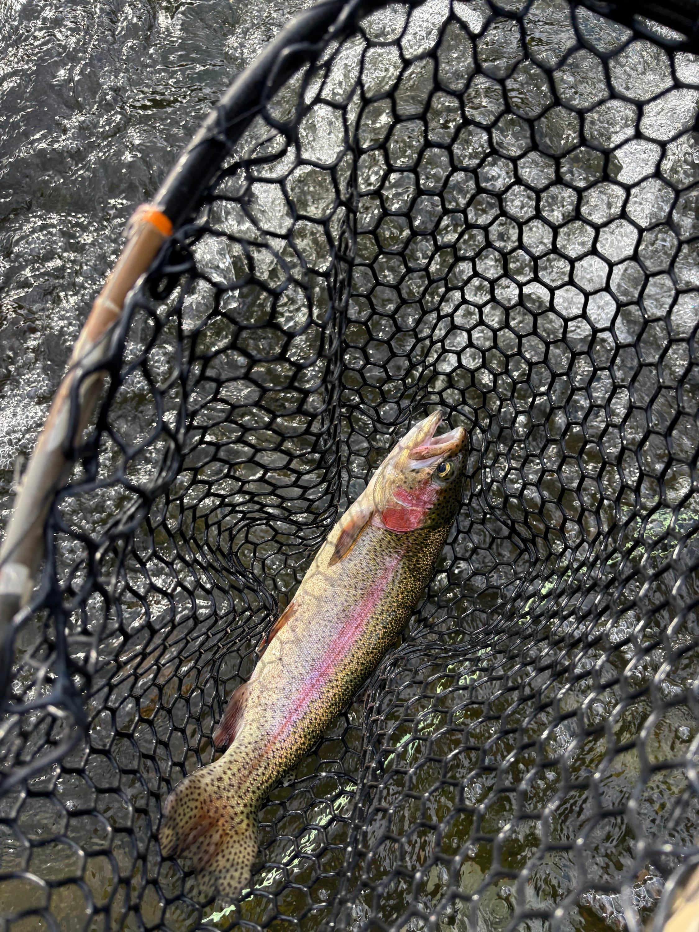 Fly-Fishing