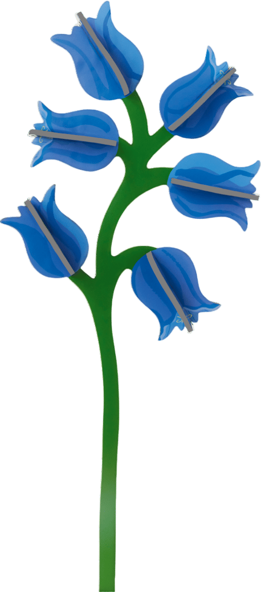 Sculptural Campanula | Studio Roof