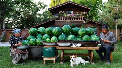 Homemade Watermelon Doshab