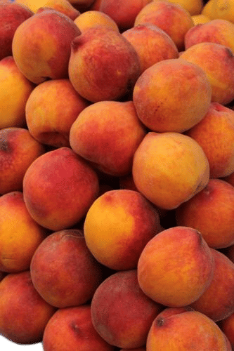 A juicy ass peach on a hot ass day.