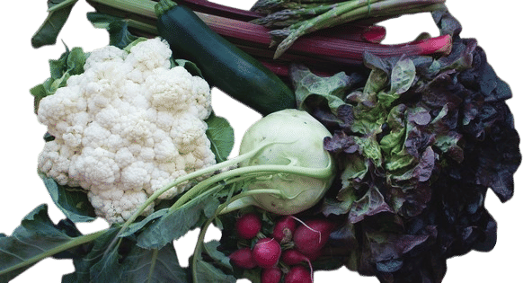 Buy your fruit and veg at the greengrocer