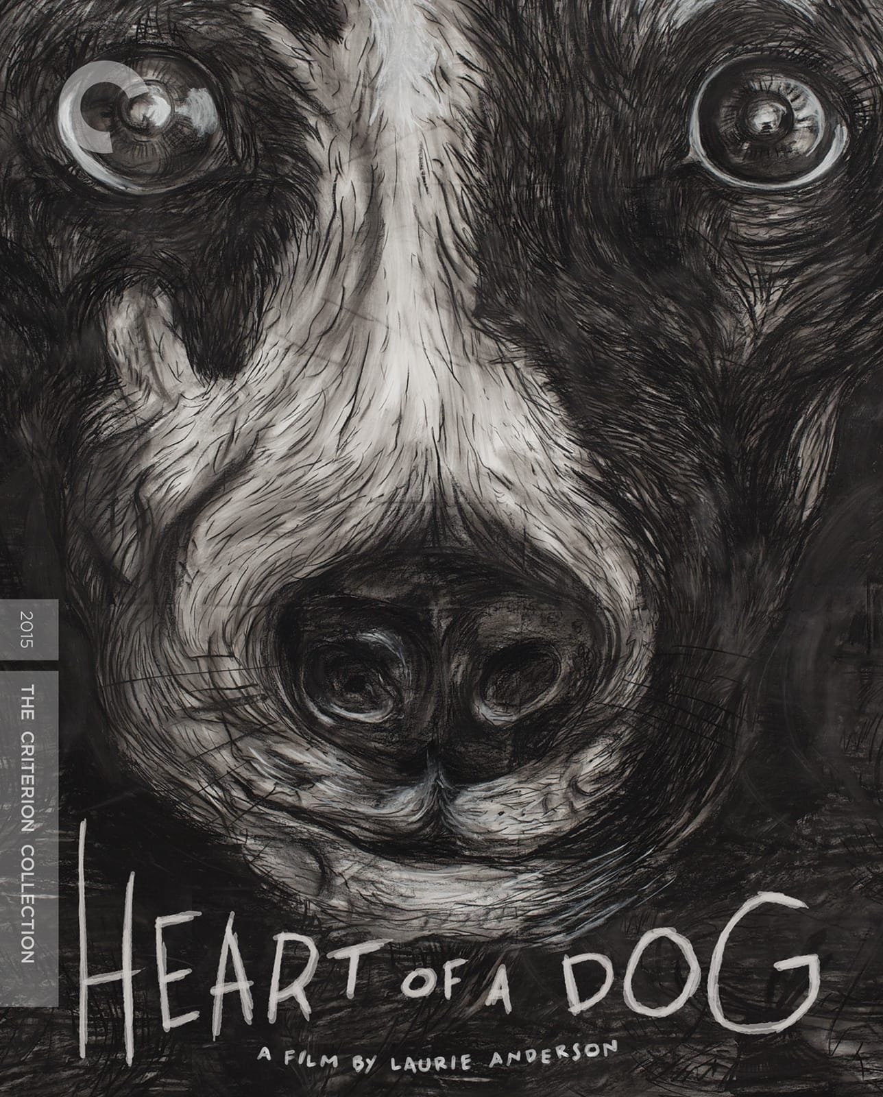 Heart of a Dog by Laurie Anderson