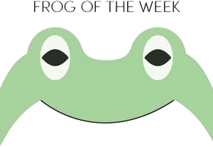 Armored Frog (Week of August 17th)