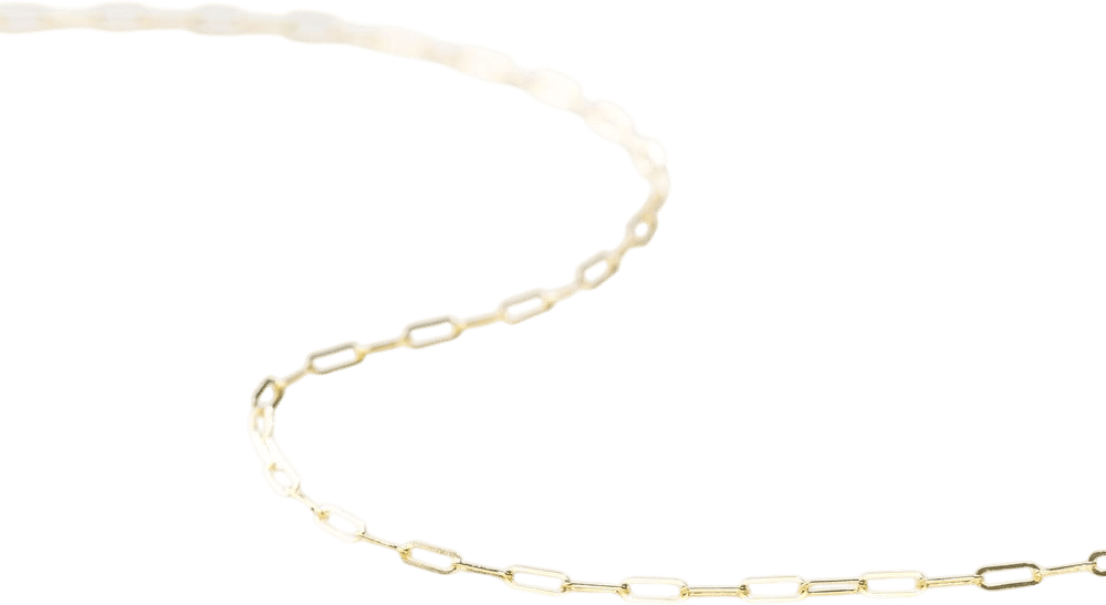 GLDN Dainty Paperclip Chain