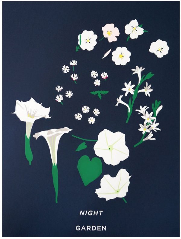 Plant Planet Art Prints