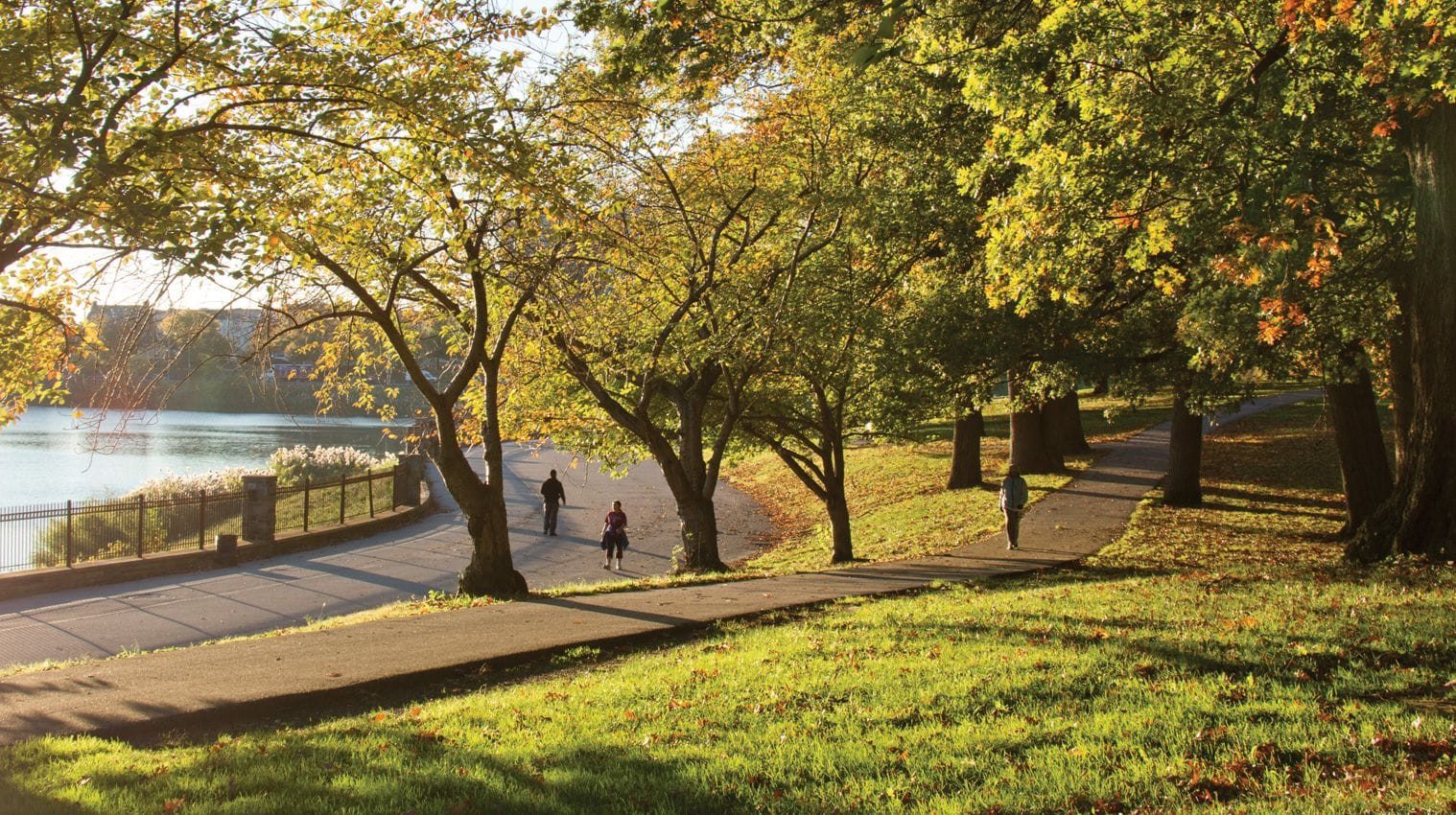Parks and Trails Galore