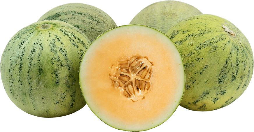 Bonny melon