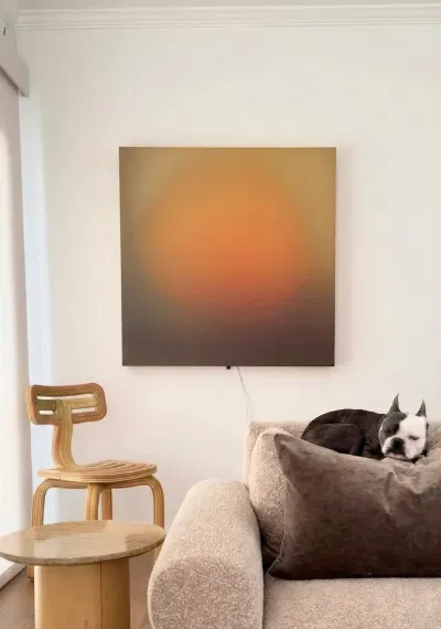 The Sol Study