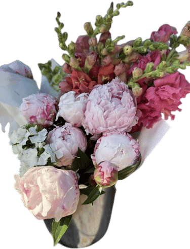 meal plan/grocery order + flowers