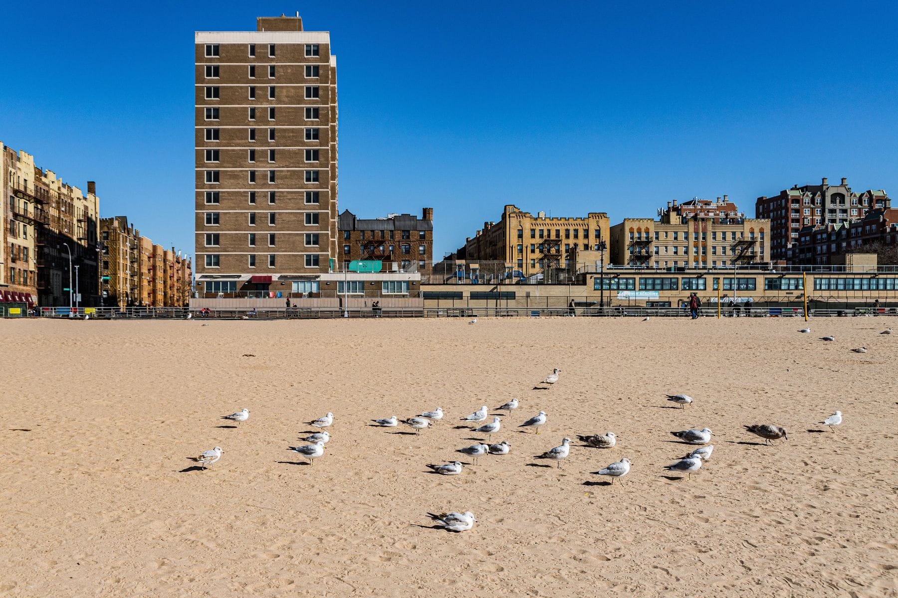 Brighton Beach