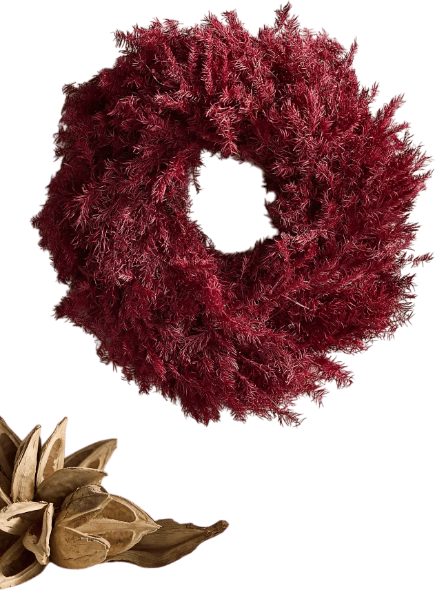 Burgundy Setaria Dried Wreath