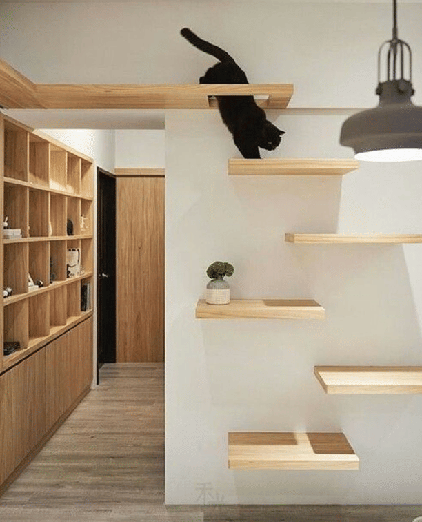 make some Cat shelves out of wooden pallets and carpet off cuts