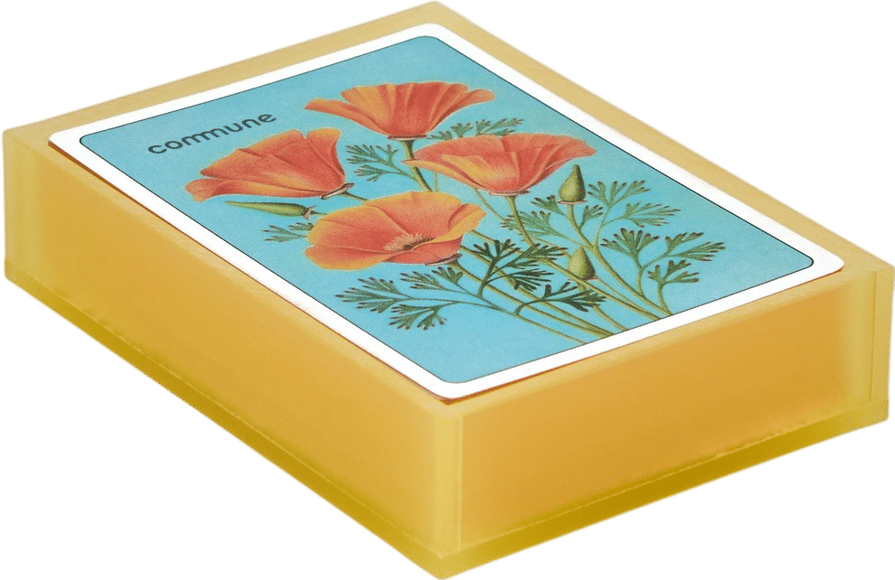 Los Angeles Wildflower Playing Cards