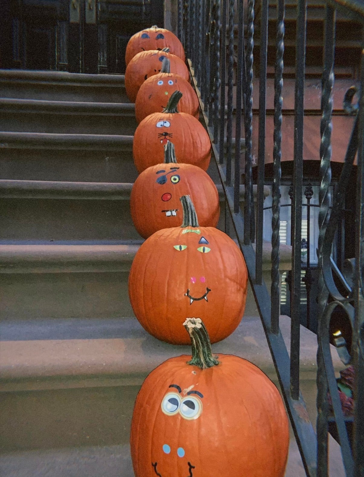 WALK AROUND BROOKLYN AND LOOK AT THE CUTE STOOOOOPS