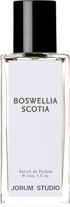 Jorum Studio Boswellia Scotia