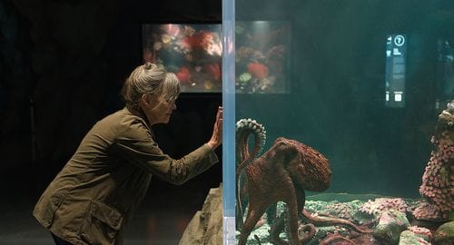 Remarkably Bright Creatures (Film)