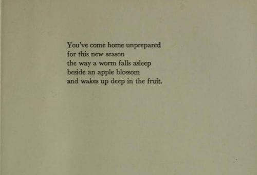 Coming Home by Laura Gilpin