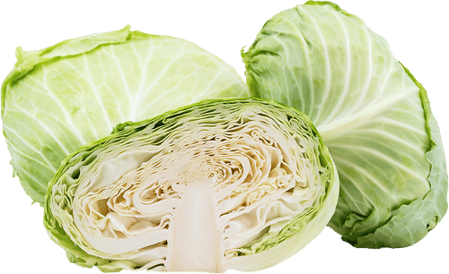 cabbage