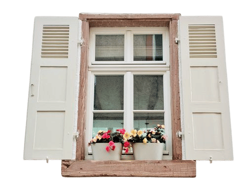 Flowers on windowsills