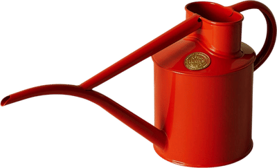Fazeley Flow Watering Can in Nasturtium