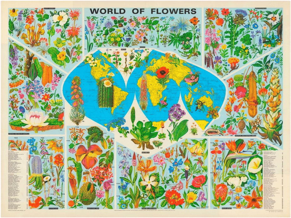 World of Flowers Wallpaper
