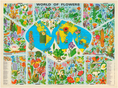 World of Flowers Wallpaper
