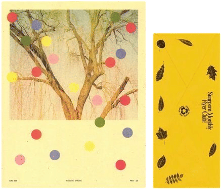 Risograph subscription: Sunroom Studios