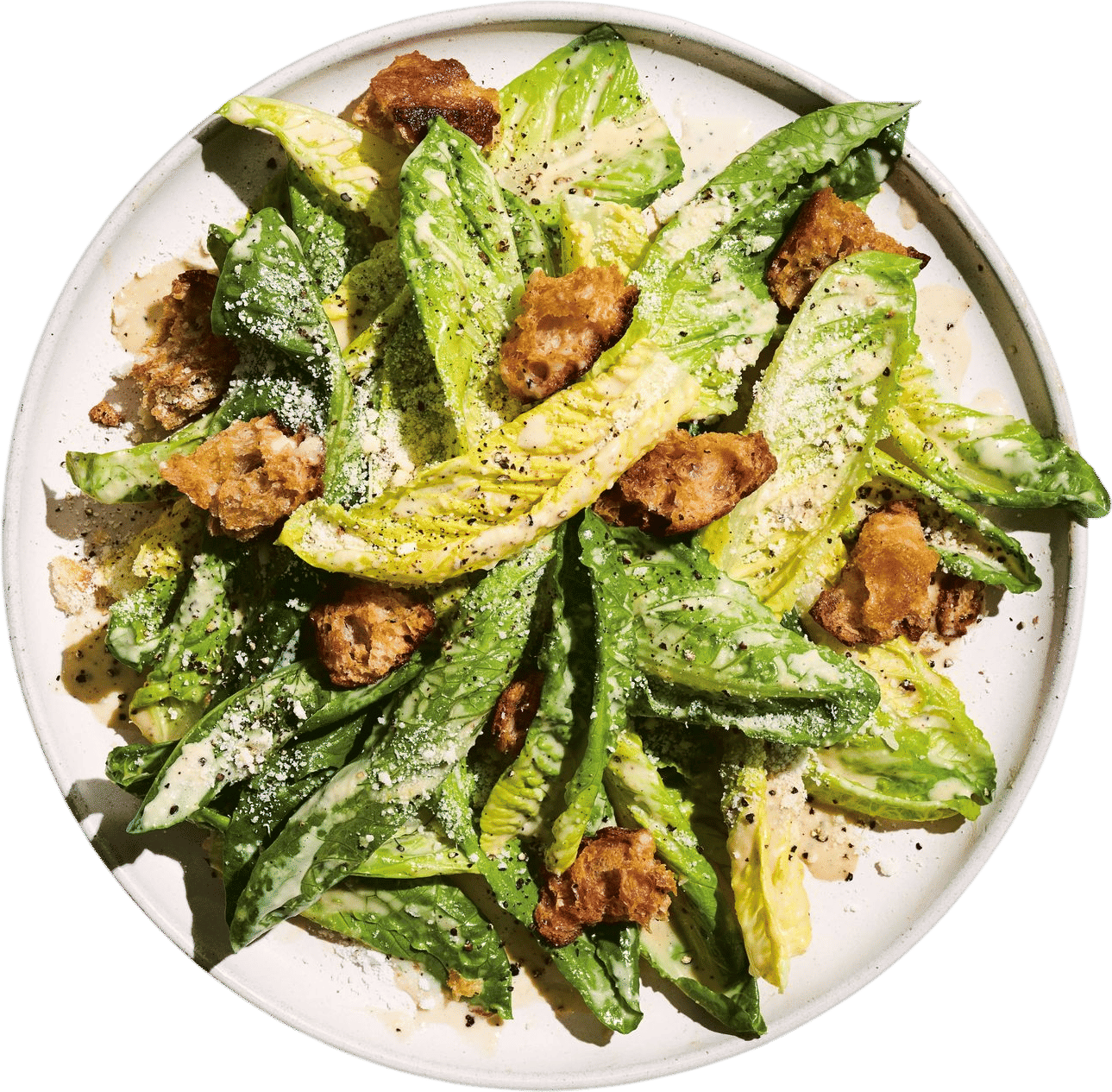 molly baz's caesar salad recipe