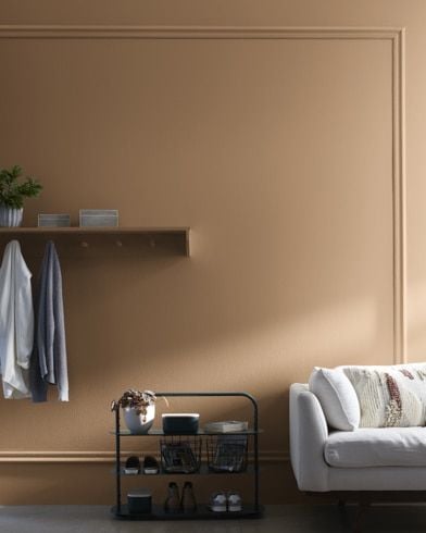 Benjamin Moore Jackson Tan
