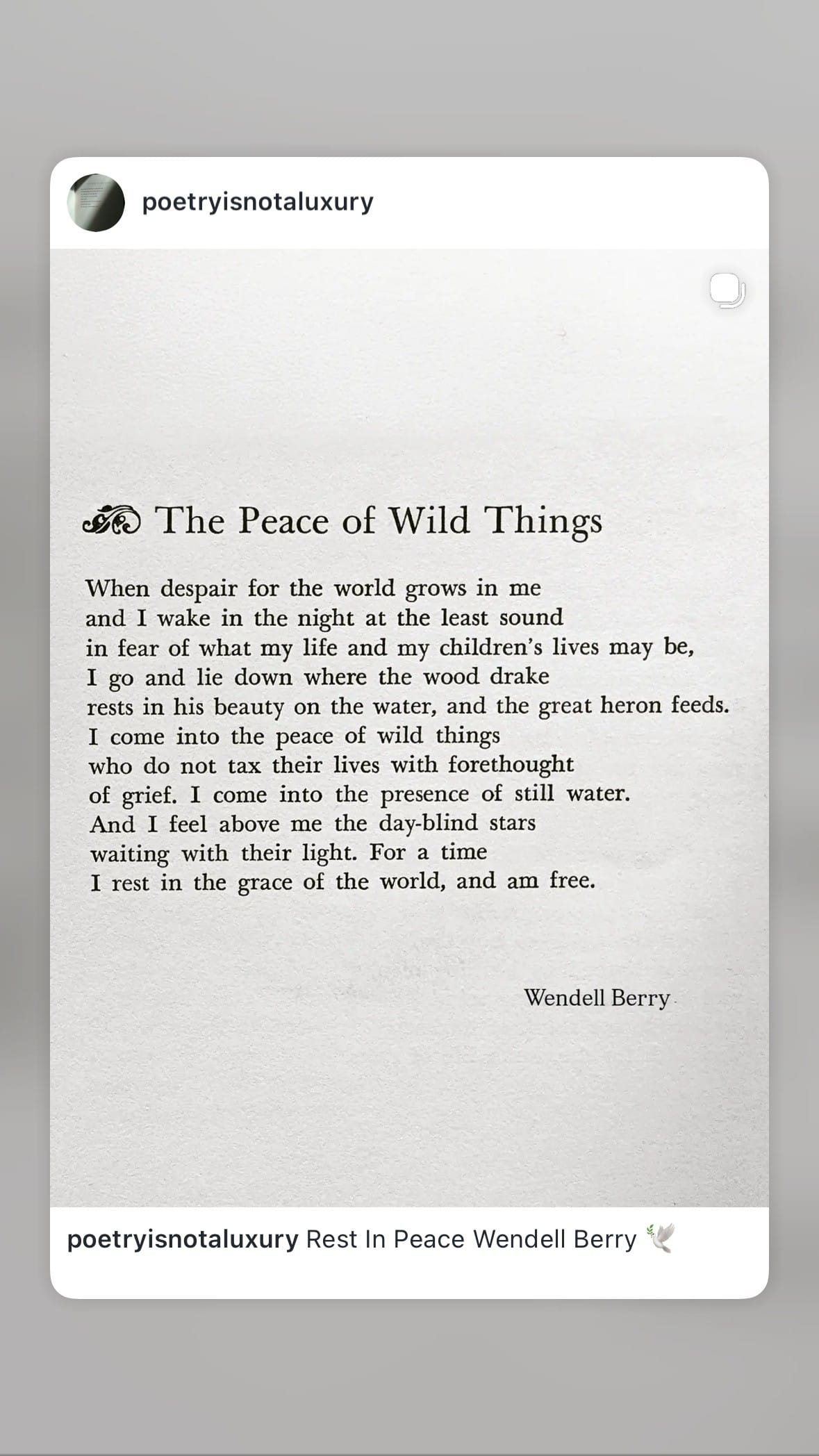 The Peace of Wild Things