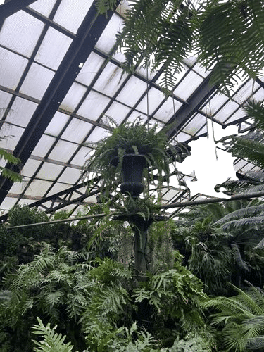 lincoln park conservatory