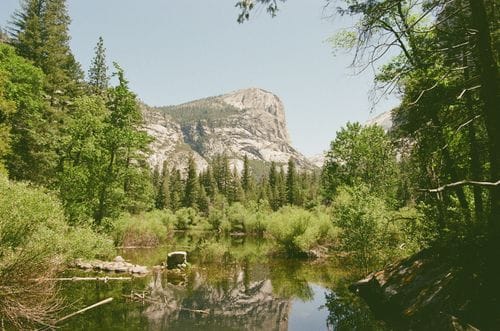 Yosemite National Park 🪶