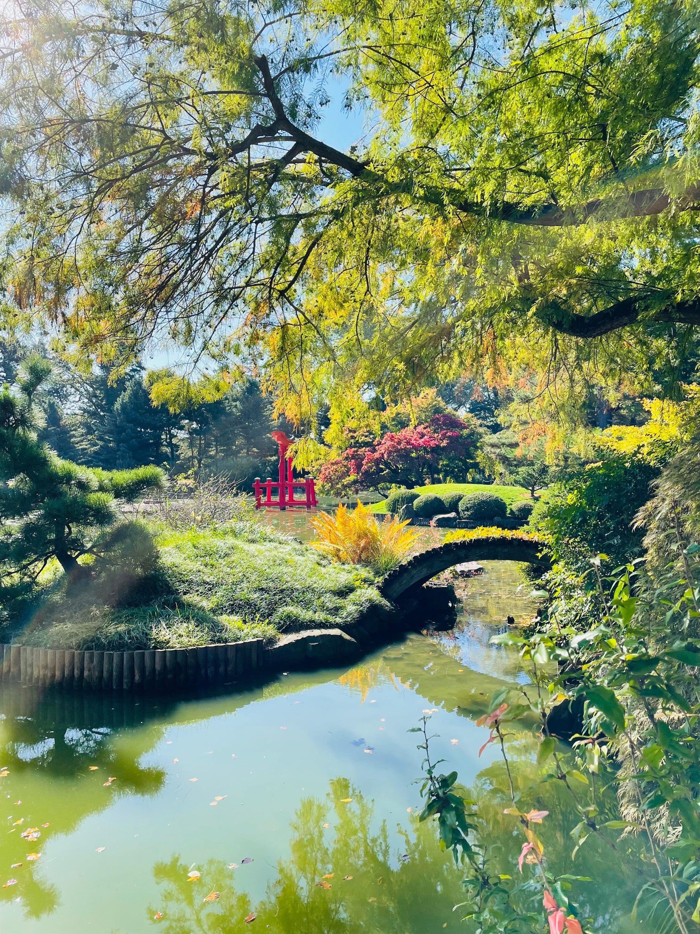 Brooklyn Botanic Garden