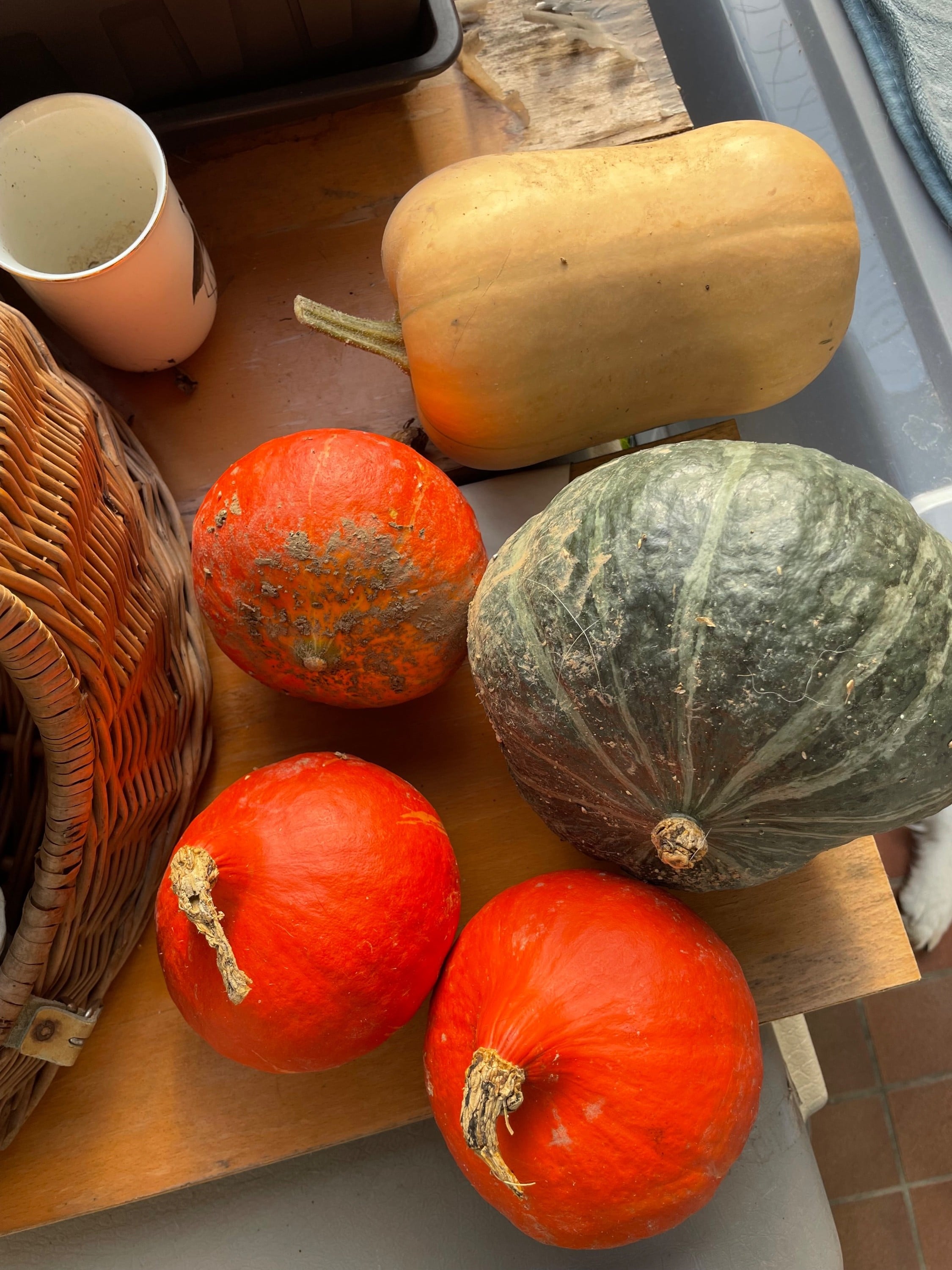 Hoarding pumpkins