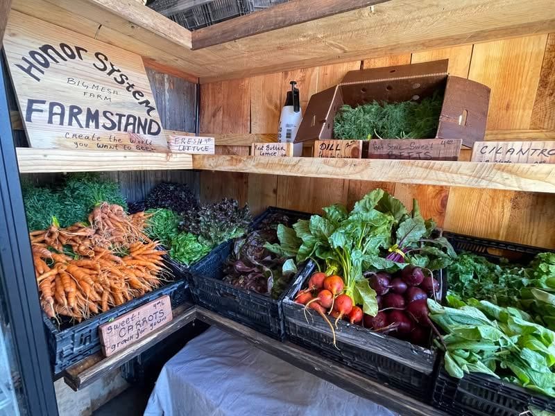 Big Mesa Farmstand behind Goodlife Cafe in Mendo