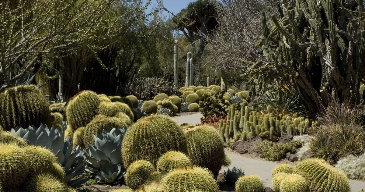 huntington gardens