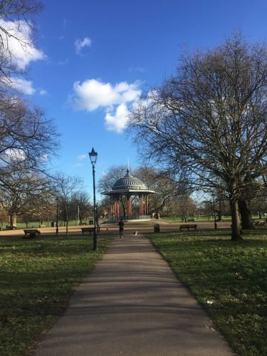 hang out in one of the parks that isn’t in zone one and pet as many dogs as possible
