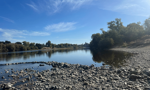 American River Trail